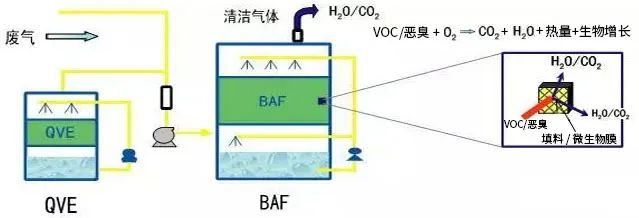 57、生物法处理有机废气